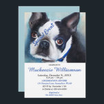 INVITACIÓN BOSTON TERRIER PUPPY DULCE DESEA FELIZ CUMPLEAÑOS<br><div class="desc">Este dulce y adorable Cachorro Terrier Negro y Blanco de Boston le da la bienvenida a una divertida fiesta de cumpleaños para usted y el suyo, ya sea para adultos o niños. Una invitación única para, cumpleaños de cualquier edad! - imagen de la pintura acuarela original de los diseñadores. Toda...</div>