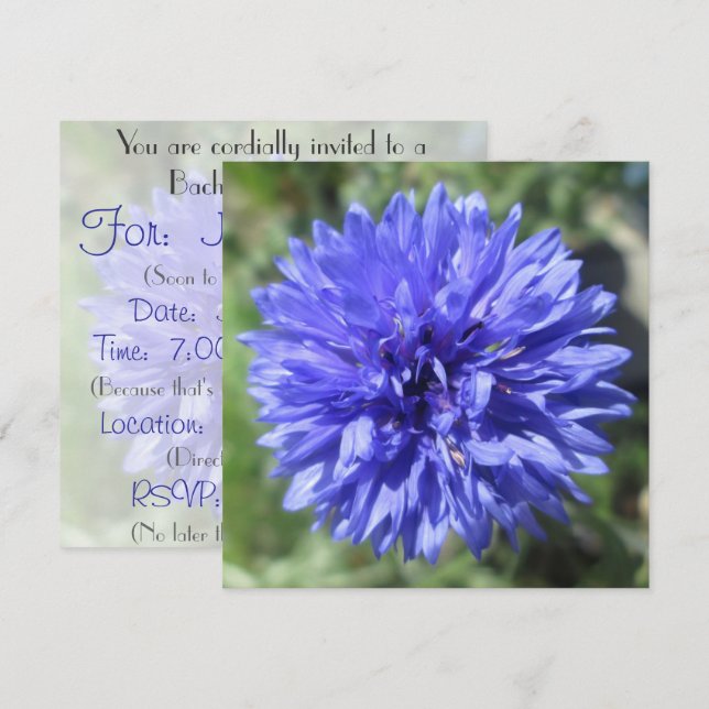 Invitación - botón del soltero azul de Cornflower (Anverso / Reverso)