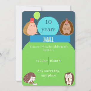 Invitación Boy Hedgehog Birthday Party Invitation