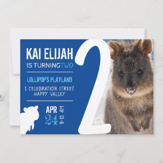Invitación Boys Second Birthday Blue Quokka Australia Photo