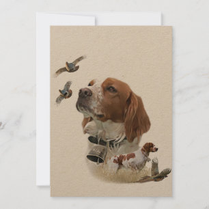 Invitación Bretaña francesa, arte de caza de aves