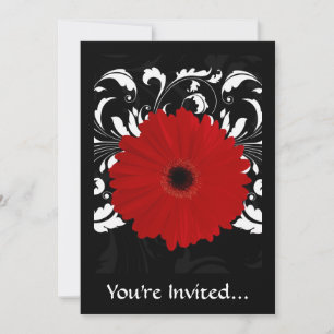 Invitación Brillante Gerbera Daisy en negro