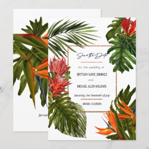 Invitación Brisa Tropical Lujuriosa Riqueza Botánica Salvar l