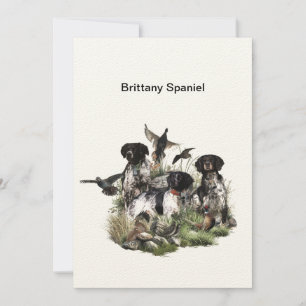 Invitación Brittany Spaniel, pasión por las aves