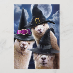 Invitación Brujas de Alpaca
