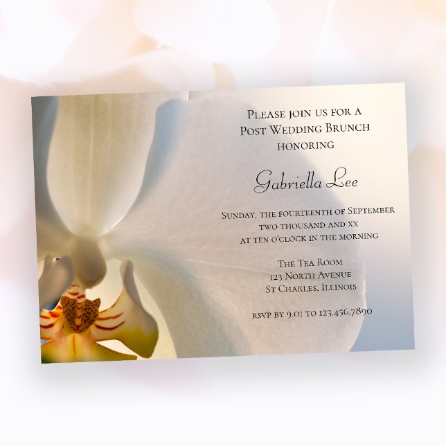 Invitación Brunch Boda de White Orchid Elegance Post (Subido por el creador)