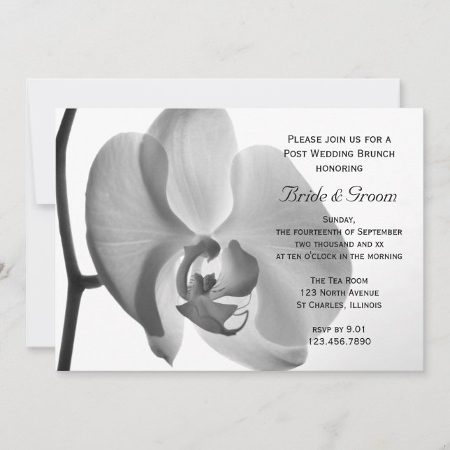 Invitación Brunch Boda de White Orchid Post (Anverso)