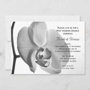 Invitación Brunch Boda de White Orchid Post