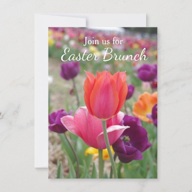 Invitación Brunch de Pascua de los tulipanes de la primavera (Anverso)