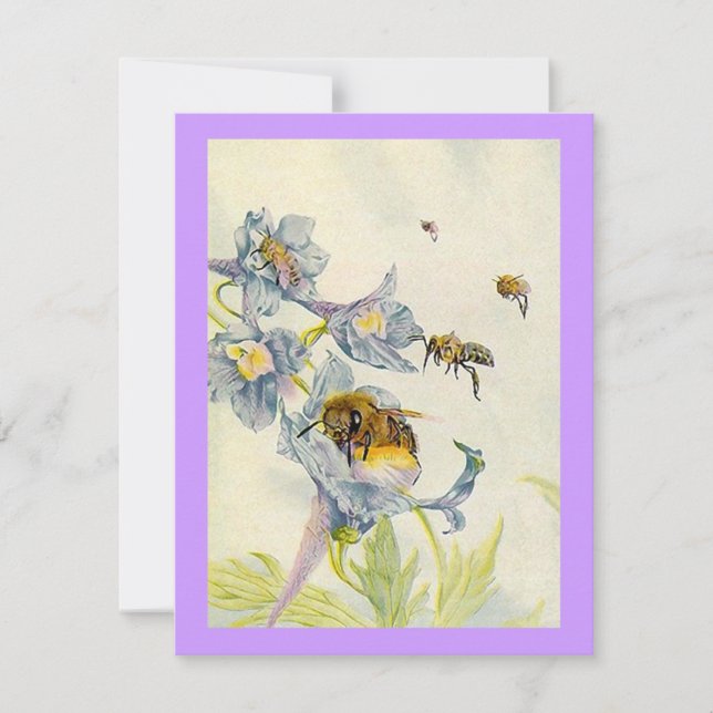 Invitación Buenos días flores abejas fiesta de cumpleaños INV (Anverso)