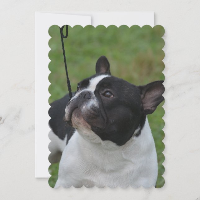 Invitación Bulldog francés blanco y negro (Anverso)