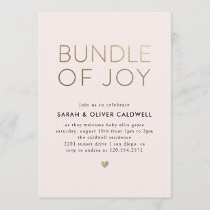 Invitación Bundle of Joy Baby Shower Invitation