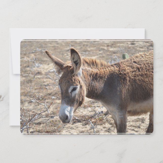 Invitación Burro adorable (Anverso)