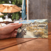 Burro sonriente, Oatman Arizona