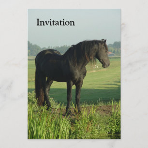 Invitación Caballo frisio