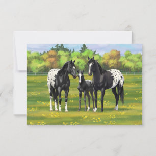 Invitación Caballos Appaloosa Negros En Pastel De Verano