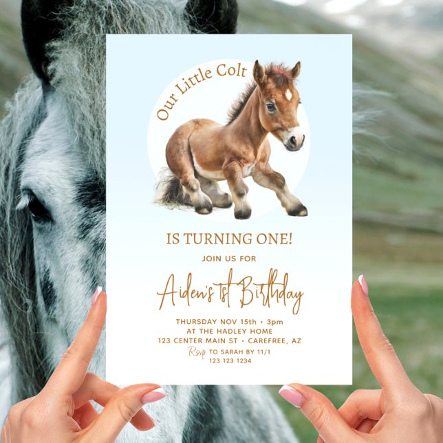 Invitación Caballos Lindos Cumpleaños número 1 de los Chicos (Subido por el creador)