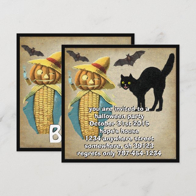Invitación Cabeza de calabaza Gato Negro Bats Halloween Party (Anverso / Reverso)