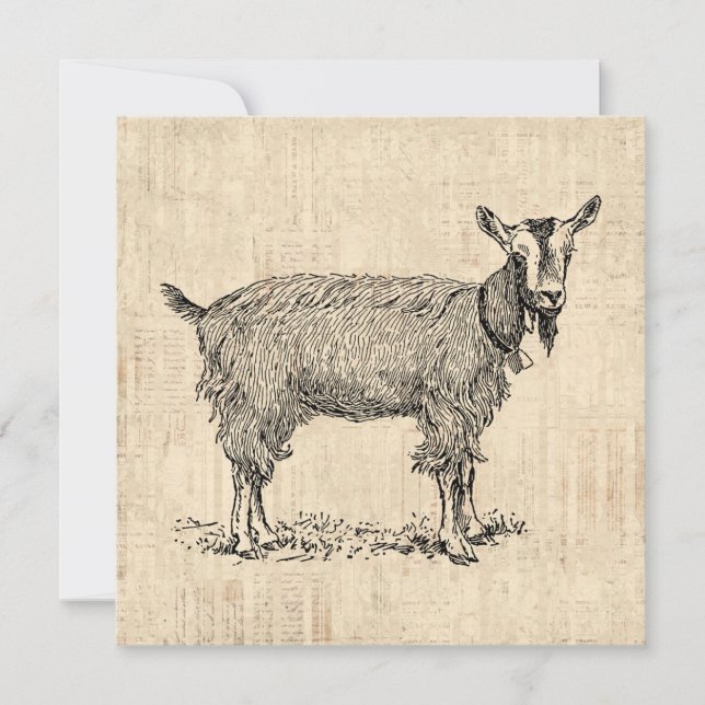 Invitación Cabra cortada con escritura antigua de Ilustracion (Anverso)