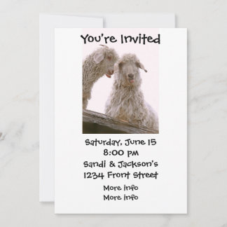 Invitación Cabras viejas y tontas