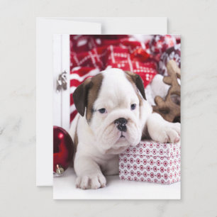 Invitación Cachorro Adorable Bulldog Inglés Navidad Diverti