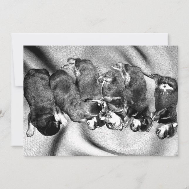 Invitación cachorros de rottweiler dormilón (Anverso)