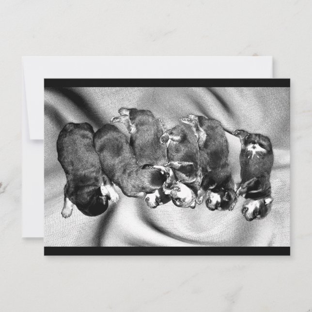 Invitación cachorros de rottweiler dormilón (Anverso)