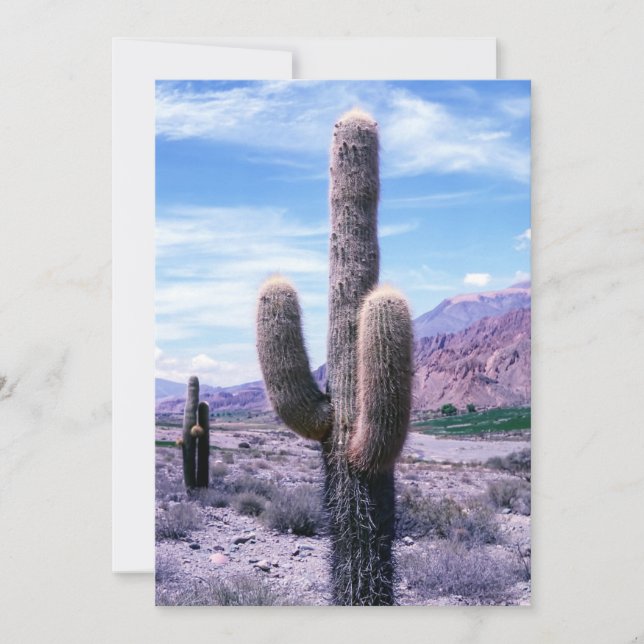 Invitación Cactus en la provincia de Jujuy, al norte de Argen (Anverso)