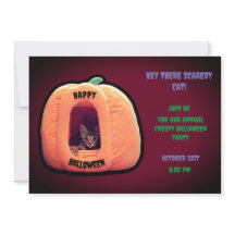 Calabaza borgoñona y Naranja Gatito espumoso