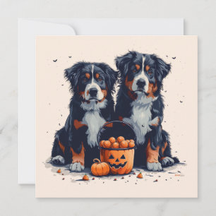 Invitación Calabaza de perros de montaña de Halloween Bernese