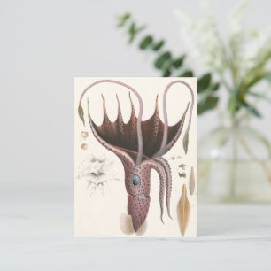 Invitación Calamar Paraguas, Animales de la Vida Marina Antig
