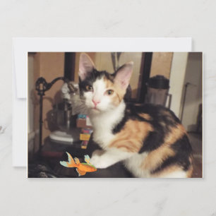Invitación Calico Kitten con regalo de pescado para la tarjet