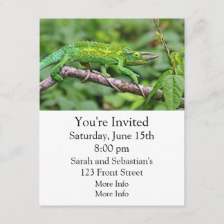 Invitación Camaleón de Jacksons