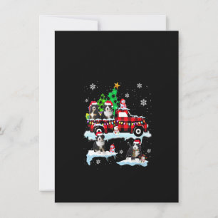 Invitación Camioneta Pickup de Santa Bernedoodle de Mujeres e