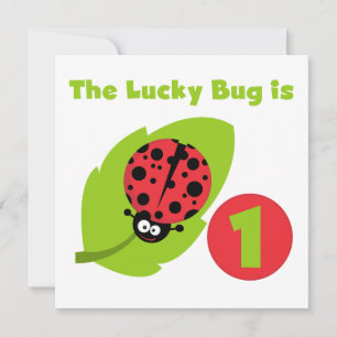 Invitación Camisetas y regalos de cumpleaños de Lucky Bug