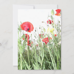 Invitación Campo de adormidera Flores de la naturaleza