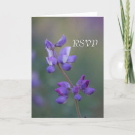 Invitación Campo de Lupino RSVP