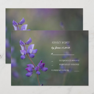 Invitación Campo de Lupino RSVP