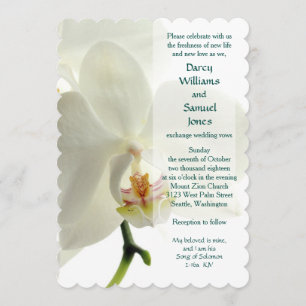 Invitación Canción de Salomón 2:16a Mi amado es mío.