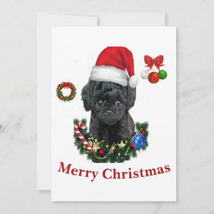 Invitación Caniche Navidad