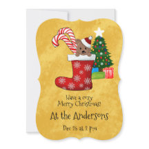 Cañón de miedos cortos en Navidades