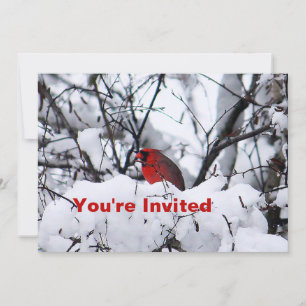 Invitación Cardenal 6216 Cumpleaños