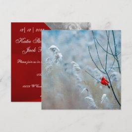Invitación Cardenal de invierno