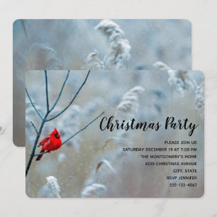 Invitación Cardenal rojo en Navidades de fotografía de natura