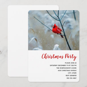Invitación Cardenal rojo en Navidades de fotografía de natura