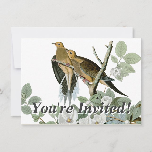 Invitación Carolina Pigeon Audubon Morning Dove (Anverso)