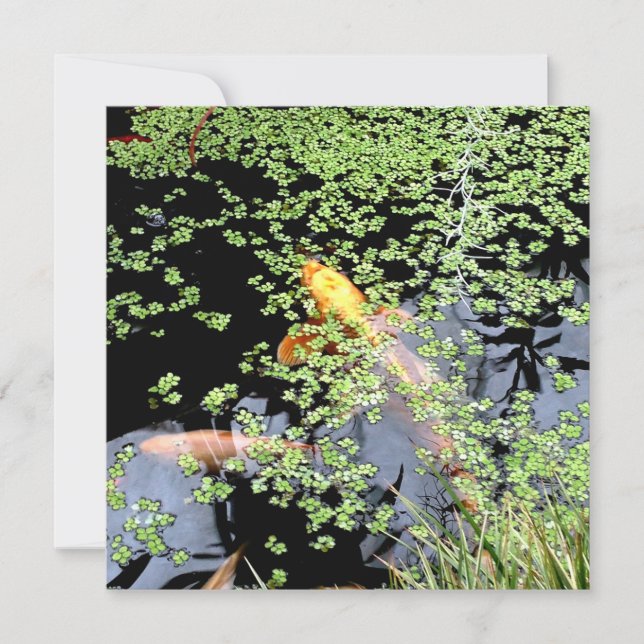 Invitación Carpa  (Anverso)