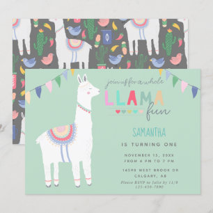Invitación Cartel de Fiesta de Cumpleaños de un chico diverti