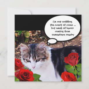 INVITACIÓN CAT CON ROSES ROJOS BACON BRUNCH FIESTA