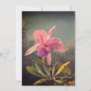 Invitación Cattleya Orquídea y Tres Colibríes Heade